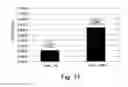 Fig. 19 - Anti-KTPAF50 antibodies and their uses in therapeutic and diagnostic methods