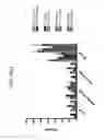 Fig. 110 - Anti-human CD52 immunoglobulins