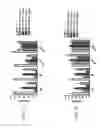 Fig. 115 - Anti-human CD52 immunoglobulins