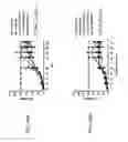 Fig. 134 - Anti-human CD52 immunoglobulins