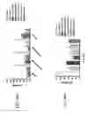 Fig. 141 - Anti-human CD52 immunoglobulins