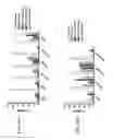 Fig. 148 - Anti-human CD52 immunoglobulins