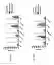 Fig. 150 - Anti-human CD52 immunoglobulins