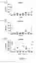 Fig. 16 - Anti-human CD52 immunoglobulins