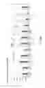 Fig. 176 - Anti-human CD52 immunoglobulins