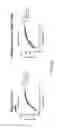 Fig. 43 - Anti-human CD52 immunoglobulins
