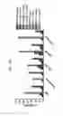 Fig. 59 - Anti-human CD52 immunoglobulins