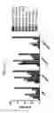 Fig. 63 - Anti-human CD52 immunoglobulins