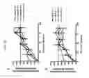 Fig. 66 - Anti-human CD52 immunoglobulins