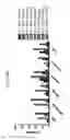 Fig. 68 - Anti-human CD52 immunoglobulins