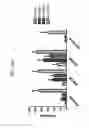 Fig. 81 - Anti-human CD52 immunoglobulins