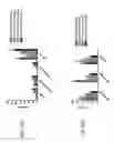 Fig. 92 - Anti-human CD52 immunoglobulins