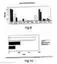 Fig. 06 - Therapeutic Agent