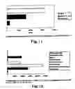 Fig. 07 - Therapeutic Agent