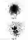 Fig. 09 - Therapeutic Agent