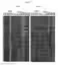 Fig. 02 - Biomarker and Method for Predicting Sensitivity to MET Inhibitors
