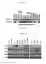 Fig. 04 - Biomarker and Method for Predicting Sensitivity to MET Inhibitors