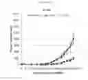 Fig. 07 - Biomarker and Method for Predicting Sensitivity to MET Inhibitors