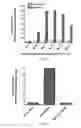 Fig. 04 - Methods for Inducing Mixed Chimerism