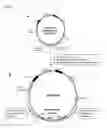 Fig. 04 - COMPOSITIONS AND METHODS FOR THE TREATMENT OF HEPATITIS C
