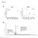Fig. 06 - COMPOSITIONS AND METHODS FOR THE TREATMENT OF HEPATITIS C