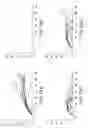 Fig. 16 - METHODS FOR PREPARING AND USING MULTICHAPERONE-ANTIGEN COMPLEXES