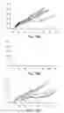 Fig. 19 - METHODS FOR PREPARING AND USING MULTICHAPERONE-ANTIGEN COMPLEXES