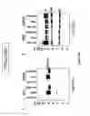 Fig. 20 - Different serotypes of vesicular stomatitis virus as expression vectors for immunization regimens