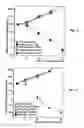 Fig. 03 - Attenuation of encephalitogenic alphavirus and uses thereof