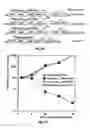 Fig. 07 - Attenuation of encephalitogenic alphavirus and uses thereof