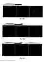 Fig. 16 - Attenuation of encephalitogenic alphavirus and uses thereof