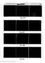 Fig. 20 - Attenuation of encephalitogenic alphavirus and uses thereof