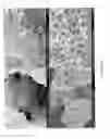 Fig. 05 - REGENERATION OF TISSUE WITHOUT CELL TRANSPLANTATION