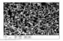 Fig. 01 - Composition for the administration of polymeric drugs