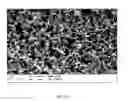 Fig. 10 - Composition for the administration of polymeric drugs