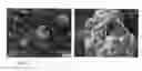 Fig. 03 - MATERIAL AND PROCESS FOR INCORPORATION OF LOW DOSAGE ACTIVE PHARMACEUTICAL INGREDIENTS AND USE THEREOF