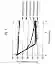 Fig. 02 - TABLET HAVING HOLLOW STRUCTURE