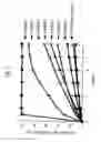 Fig. 03 - TABLET HAVING HOLLOW STRUCTURE