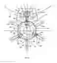Fig. 63 - Apparatuses and methods for manufacturing containers
