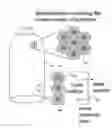 Fig. 01 - CONTROL OF BUBBLE SIZE IN A CARBONATED LIQUID