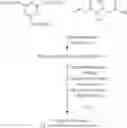 Fig. 07 - Method of dissociating an organoborane-amine complex