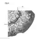Fig. 05 - THIN FILM MANUFACTURING METHOD AND SILICON MATERIAL WHICH CAN BE USED IN THE METHOD