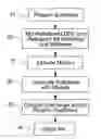 Fig. 01 - SHEET FOR SIGNAGE THAT INCLUDES POLYETHYLENE AND OTHER MATERIALS AND METHOD OF MANUFACTURE OF THE SAME