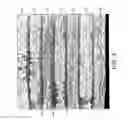 Fig. 04 - Composite materials