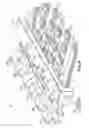 Fig. 09 - Method of making multi-layered product having spaced honeycomb core sections
