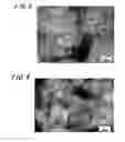 Fig. 03 - Composite nano porous electrode material, process for production thereof, and lithium ion secondary battery
