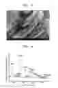 Fig. 03 - CATHODE ACTIVE MATERIAL, AND CATHODE AND MAGNESIUM BATTERY INCLUDING THE SAME