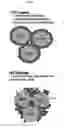 Fig. 03 - Cathode active material and secondary battery comprising the same
