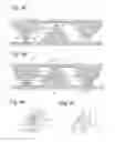 Fig. 06 - Method for manufacturing metal-made three-dimensional substrate for electrodes, metal-made three-dimensional substrate for electrodes and electrochemical applied products using the same