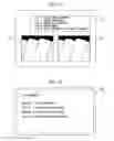 Fig. 13 - INSPECTION APPARATUS AND INSPECTION METHOD